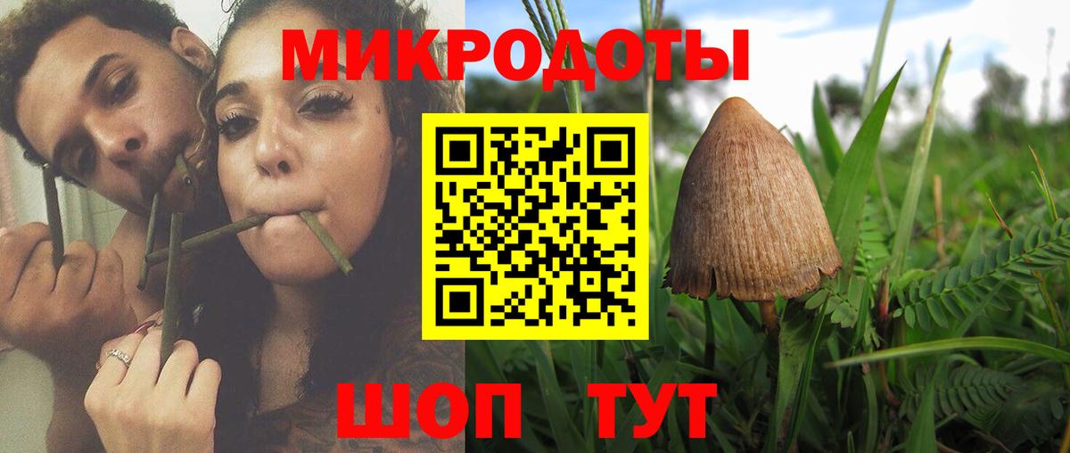 Галлюциногенные грибы MAGIC MUSHROOMS Ржев